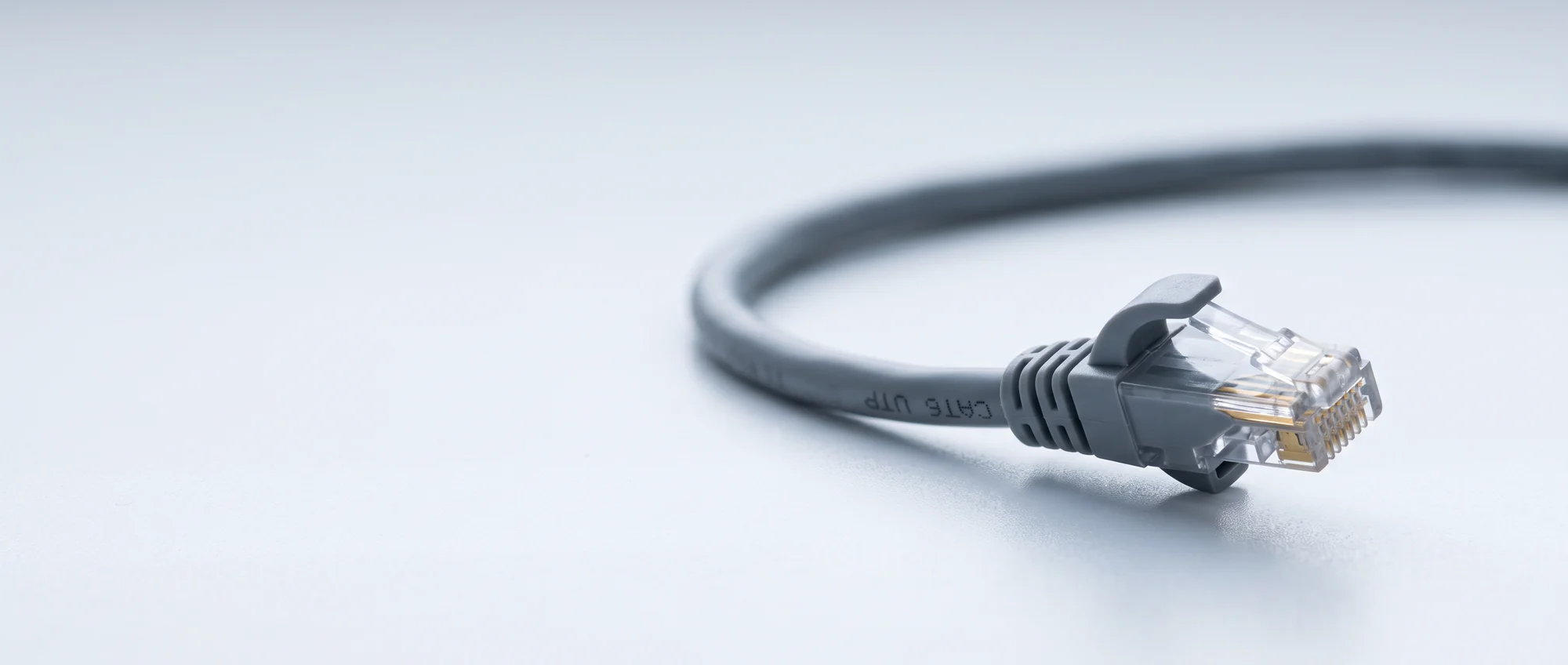 Ein einzelnes Netzwerkkabel mit RJ45-Stecker
